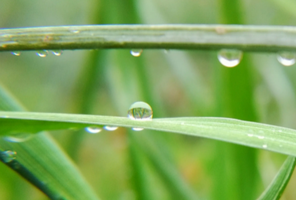 2022年4月会下暴雨吗3