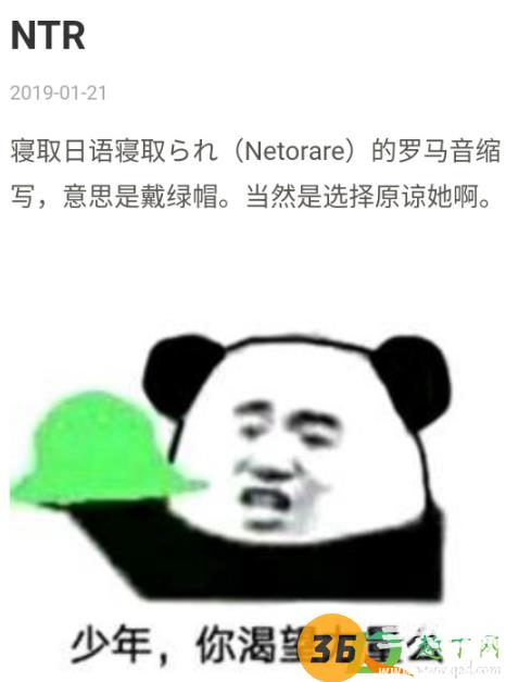 ntr是什么意思梗2