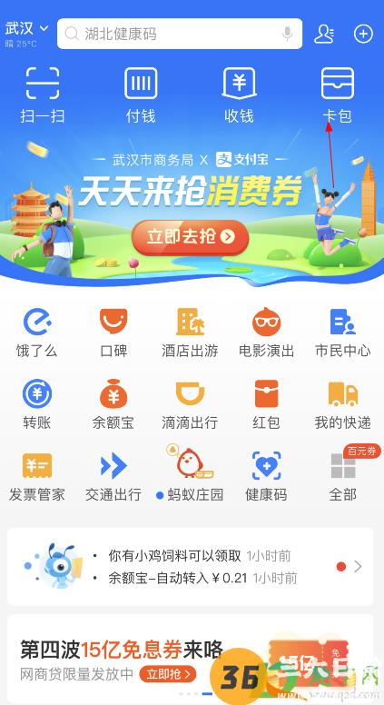 支付宝消费券可以线上使用吗4