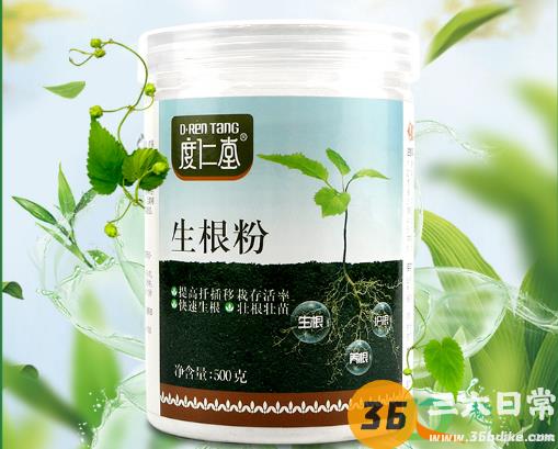 树栽好后能用生根粉吗3