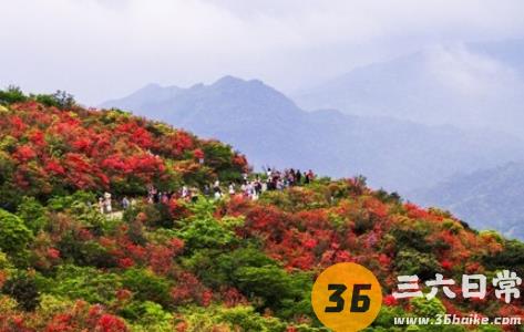 永州阳明山怎么坐车 永州阳明山公园乘车路线2