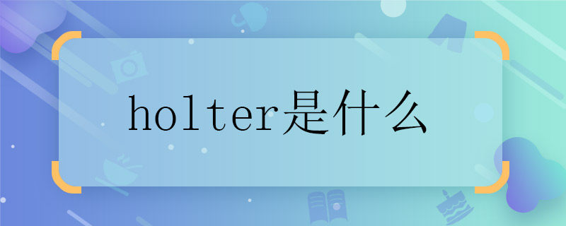 holter是什么